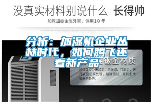 分析：加濕機(jī)企業(yè)叢林時代，如何騰飛還看新產(chǎn)品