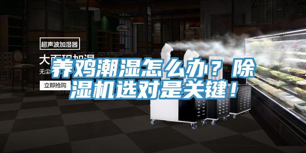 養(yǎng)雞潮濕怎么辦？除濕機(jī)選對(duì)是關(guān)鍵！
