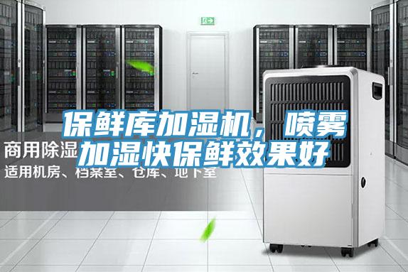 保鮮庫加濕機，噴霧加濕快保鮮效果好