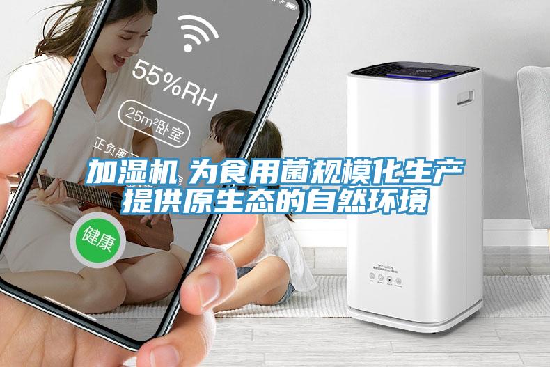 加濕機　為食用菌規(guī)?；a(chǎn)提供原生態(tài)的自然環(huán)境