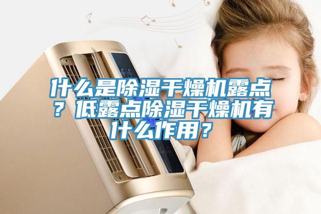 什么是除濕干燥機(jī)露點(diǎn)？低露點(diǎn)除濕干燥機(jī)有什么作用？
