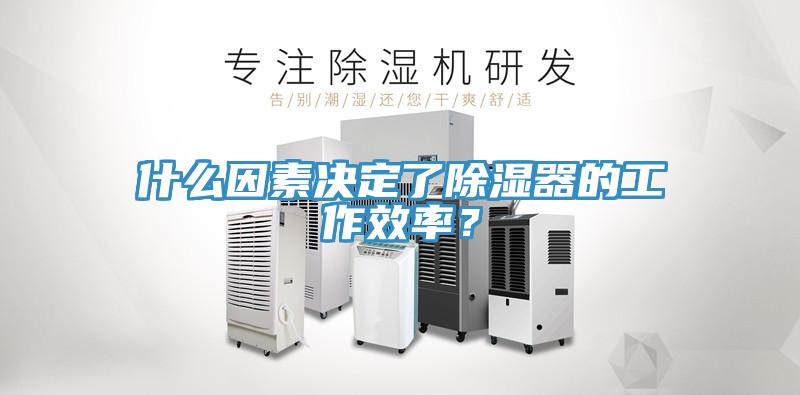 什么因素決定了除濕器的工作效率？