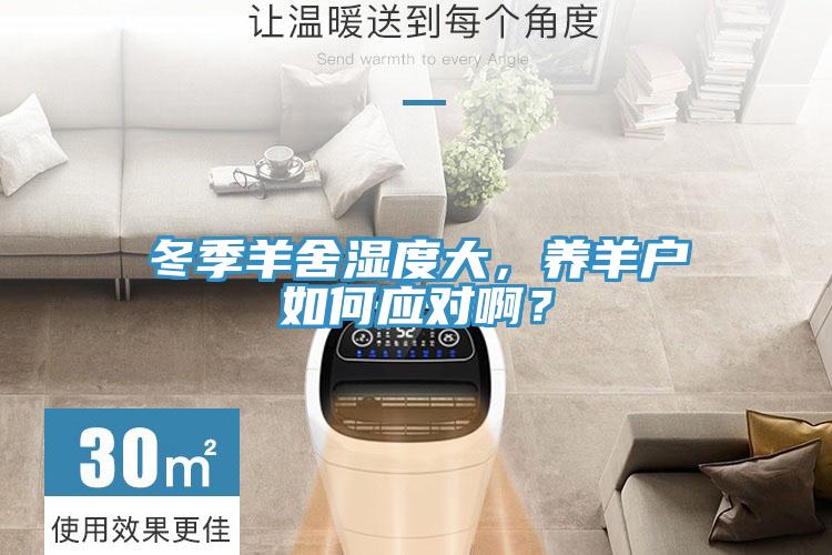 冬季羊舍濕度大，養(yǎng)羊戶如何應(yīng)對(duì)??？