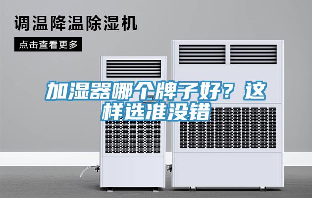 加濕器哪個(gè)牌子好？這樣選準(zhǔn)沒錯(cuò)