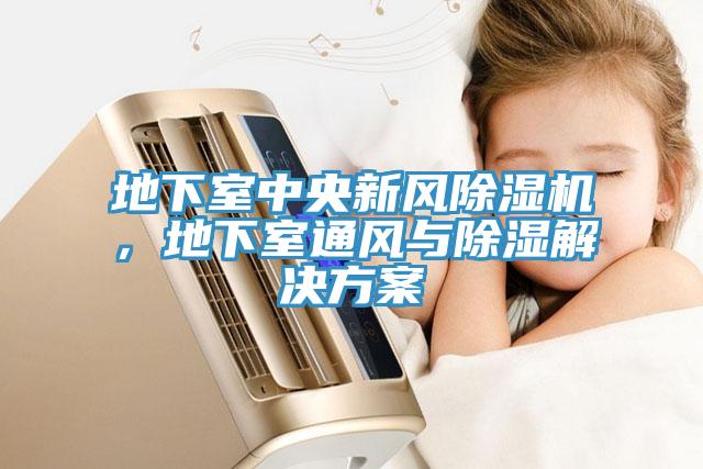 地下室中央新風(fēng)除濕機，地下室通風(fēng)與除濕解決方案