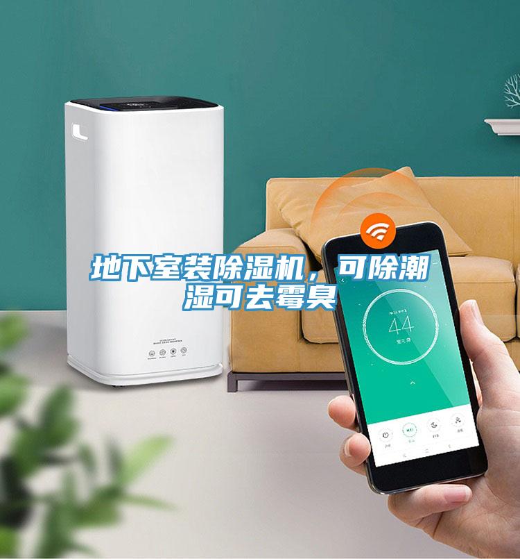 地下室裝除濕機(jī)，可除潮濕可去霉臭