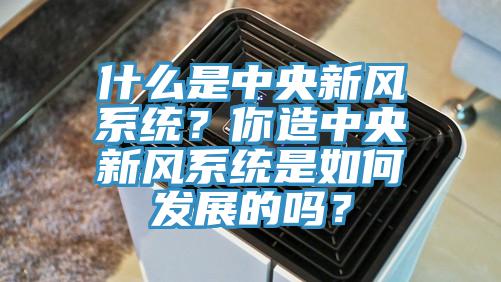 什么是中央新風(fēng)系統(tǒng)？你造中央新風(fēng)系統(tǒng)是如何發(fā)展的嗎？