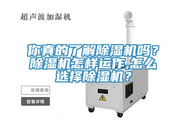 你真的了解除濕機嗎？除濕機怎樣運作,怎么選擇除濕機？