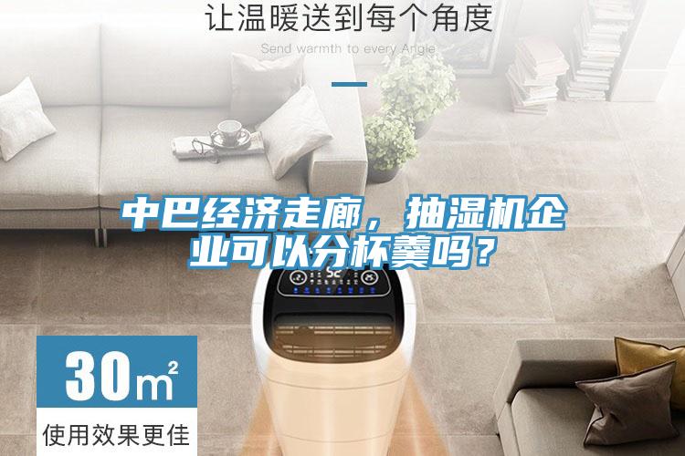 中巴經(jīng)濟走廊，抽濕機企業(yè)可以分杯羹嗎？