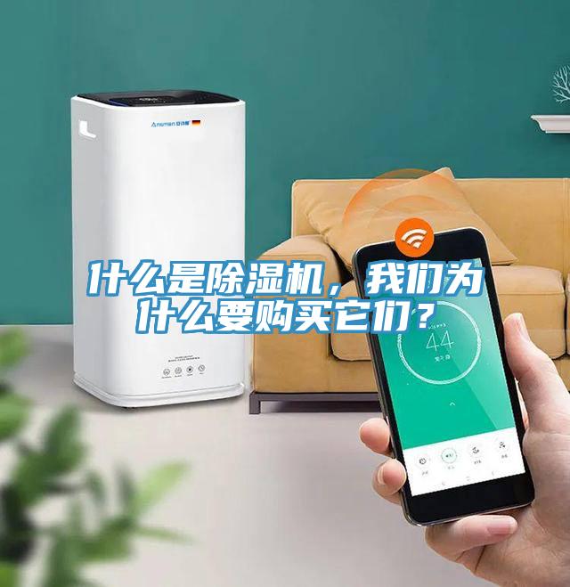什么是除濕機(jī)，我們?yōu)槭裁匆?gòu)買它們？