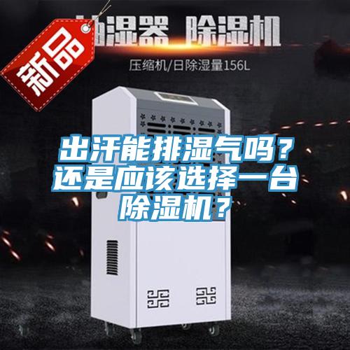 出汗能排濕氣嗎？還是應(yīng)該選擇一臺除濕機(jī)？