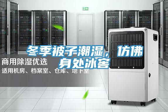冬季被子潮濕，仿佛身處冰窖