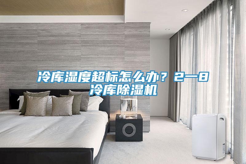 冷庫(kù)濕度超標(biāo)怎么辦？2一8℃冷庫(kù)除濕機(jī)