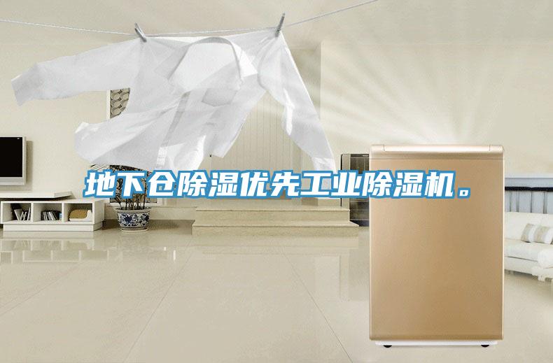 地下倉除濕優(yōu)先工業(yè)除濕機(jī)。
