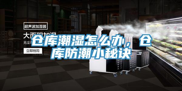 倉(cāng)庫(kù)潮濕怎么辦，倉(cāng)庫(kù)防潮小秘訣