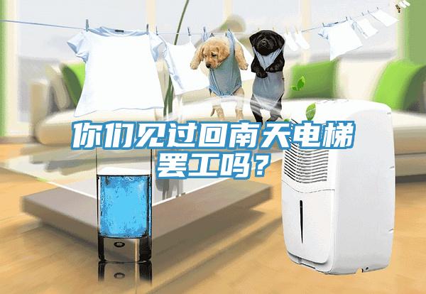 你們見過回南天電梯罷工嗎？