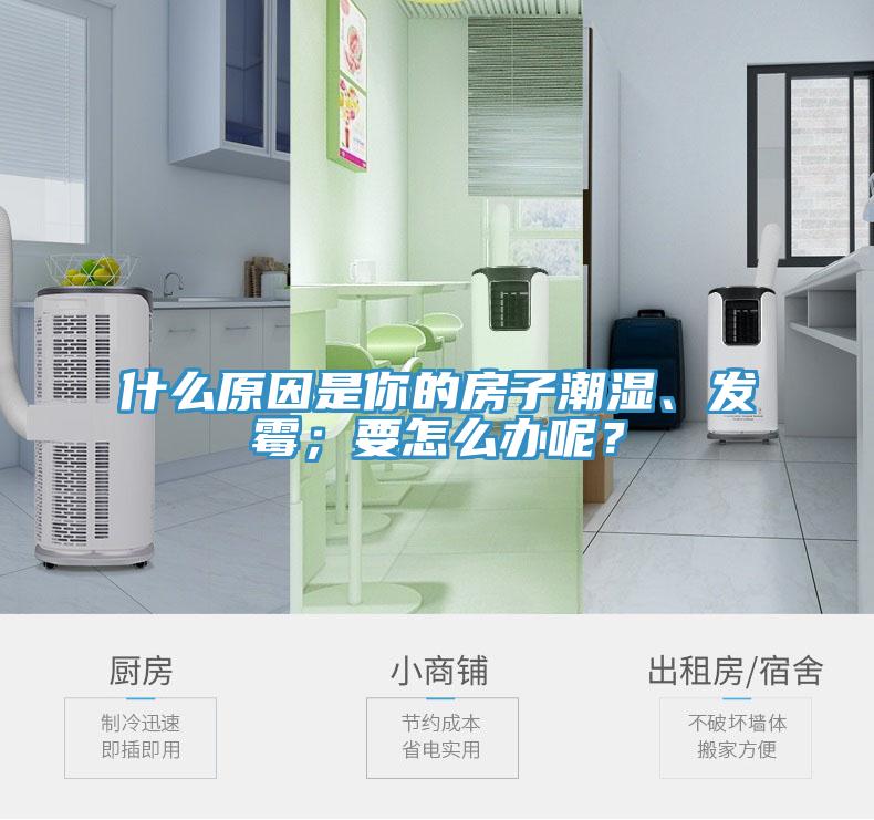 什么原因是你的房子潮濕、發(fā)霉；要怎么辦呢？