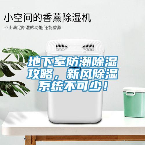 地下室防潮除濕攻略，新風(fēng)除濕系統(tǒng)不可少！