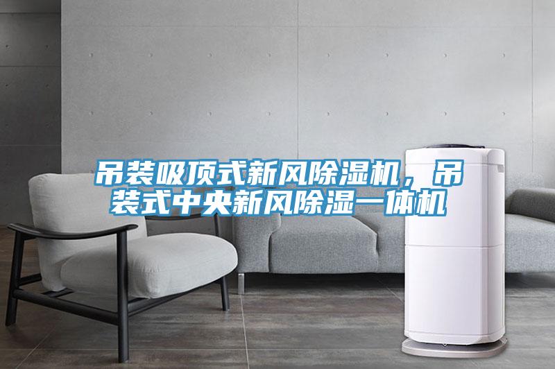 吊裝吸頂式新風(fēng)除濕機(jī)，吊裝式中央新風(fēng)除濕一體機(jī)