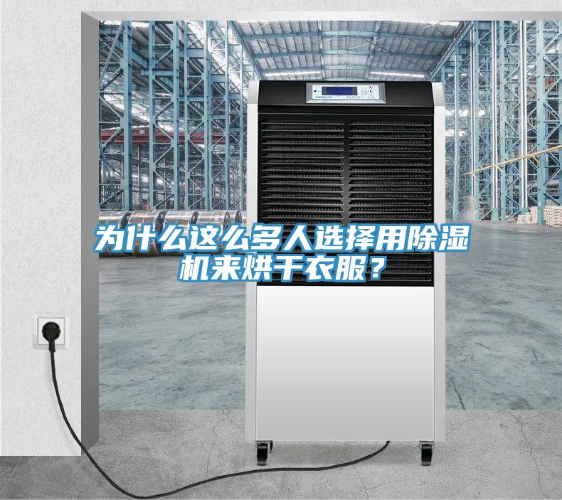 為什么這么多人選擇用除濕機來烘干衣服？