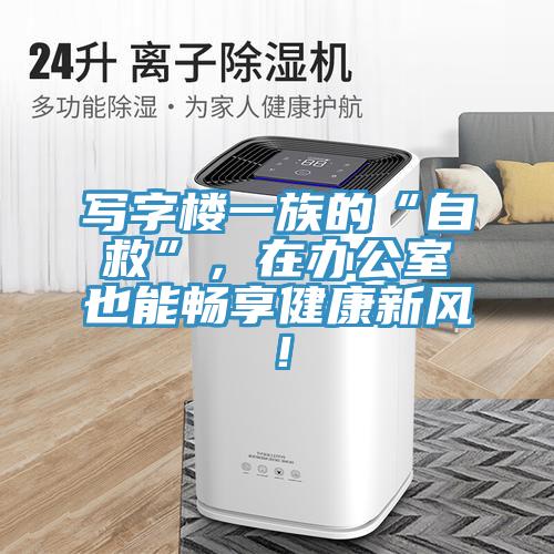寫字樓一族的“自救”，在辦公室也能暢享健康新風(fēng)！