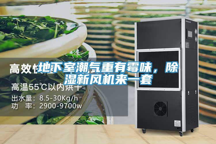 地下室潮氣重有霉味，除濕新風(fēng)機(jī)來(lái)一套