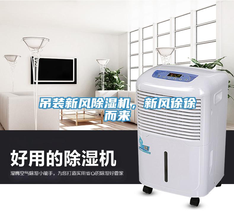 吊裝新風(fēng)除濕機(jī)，新風(fēng)徐徐而來(lái)