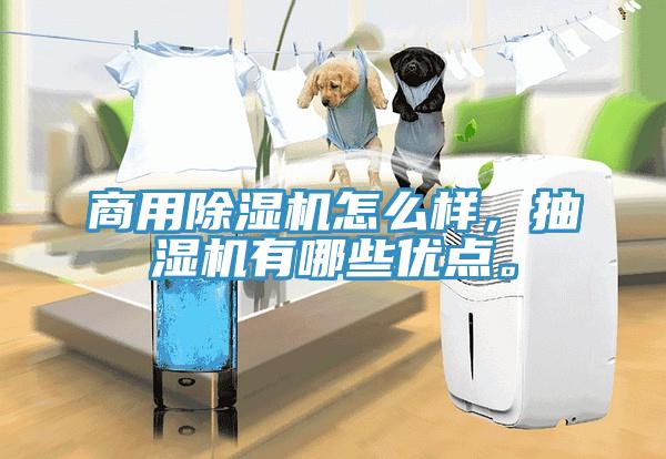 商用除濕機怎么樣，抽濕機有哪些優(yōu)點。