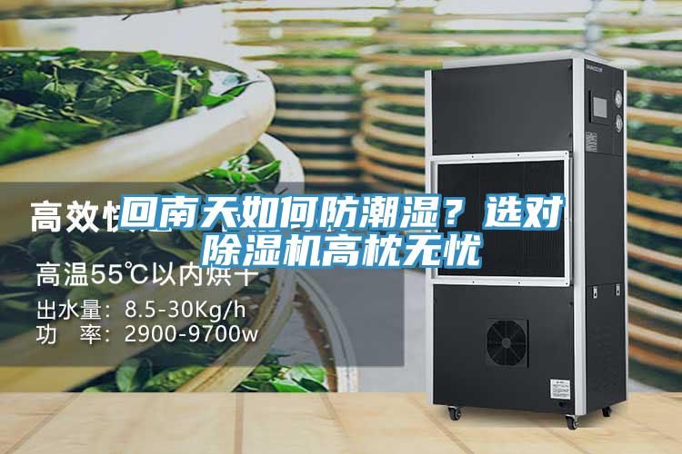 回南天如何防潮濕？選對除濕機(jī)高枕無憂