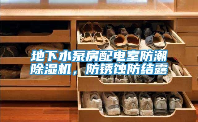 地下水泵房配電室防潮除濕機(jī)，防銹蝕防結(jié)露
