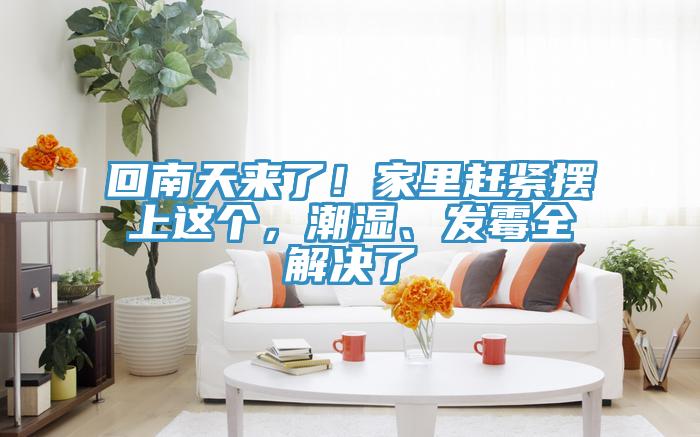 回南天來了！家里趕緊擺上這個(gè)，潮濕、發(fā)霉全解決了