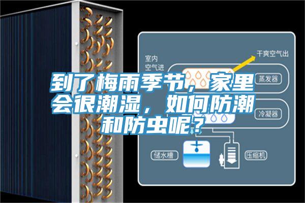 到了梅雨季節(jié)，家里會(huì)很潮濕，如何防潮和防蟲(chóng)呢？