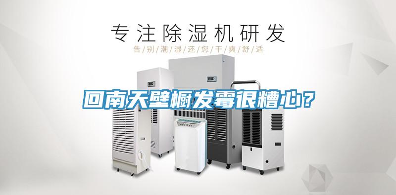 回南天壁櫥發(fā)霉很糟心？