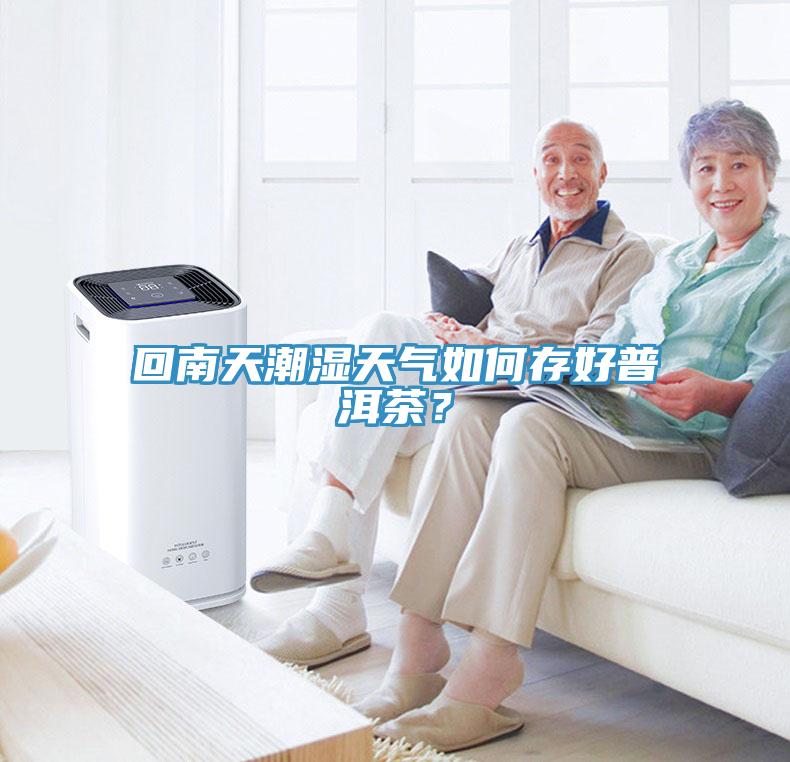 回南天潮濕天氣如何存好普洱茶？