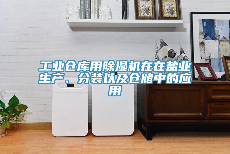 工業(yè)倉庫用除濕機在在鹽業(yè)生產(chǎn)、分裝以及倉儲中的應(yīng)用
