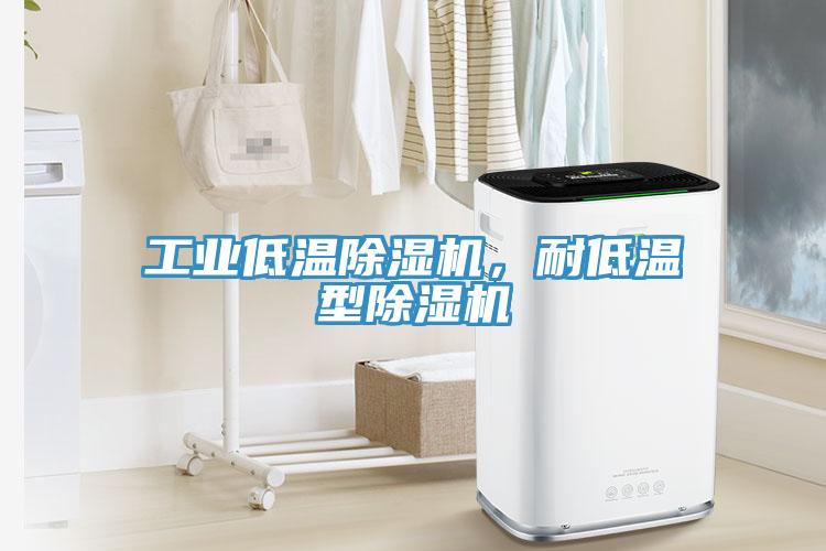 工業(yè)低溫除濕機，耐低溫型除濕機
