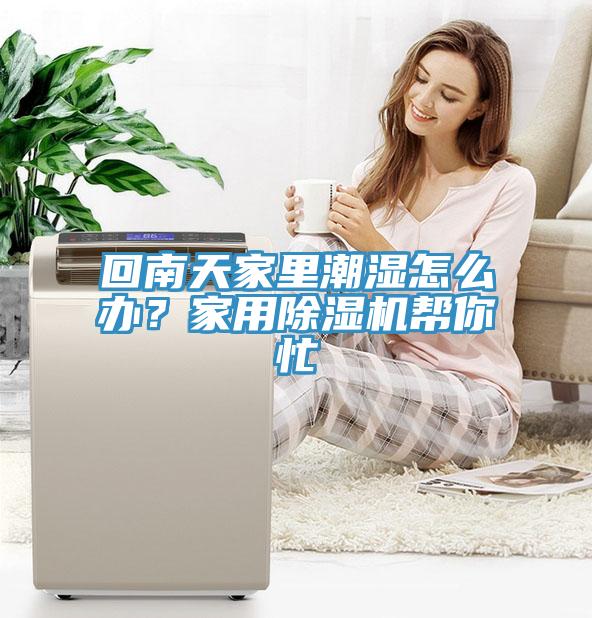 回南天家里潮濕怎么辦？家用除濕機(jī)幫你忙