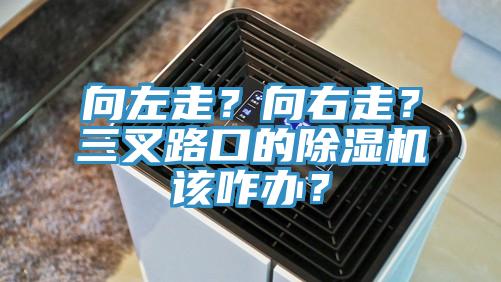 向左走？向右走？三叉路口的除濕機該咋辦？
