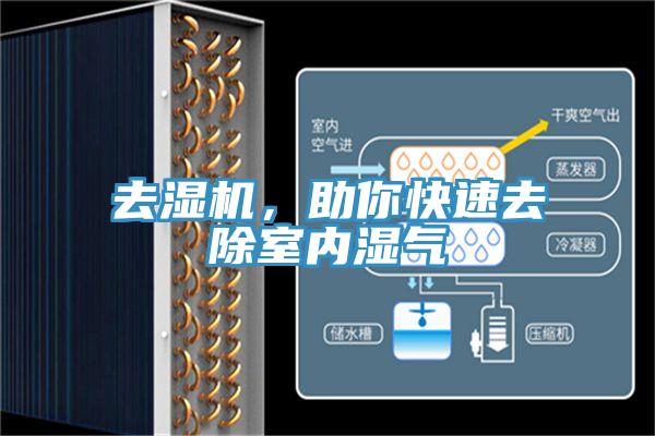 去濕機，助你快速去除室內(nèi)濕氣