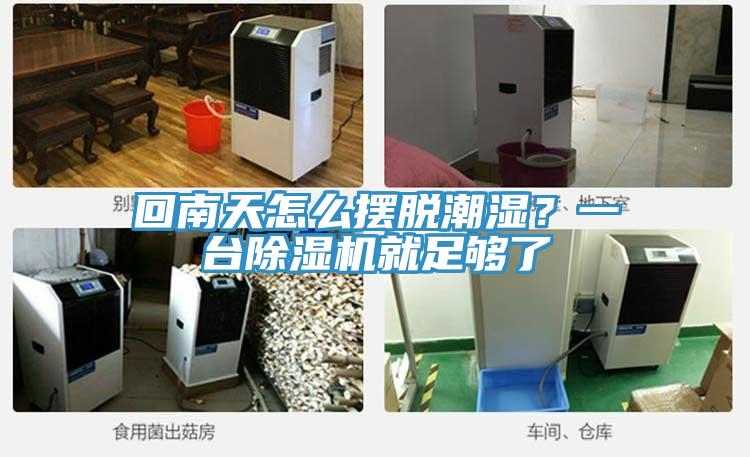 回南天怎么擺脫潮濕？一臺(tái)除濕機(jī)就足夠了