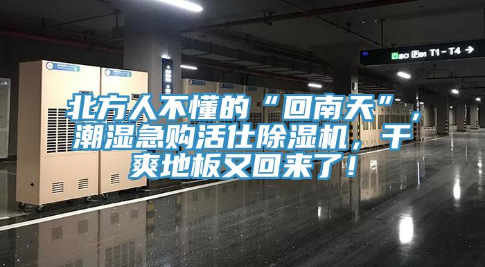 北方人不懂的“回南天”，潮濕急購活仕除濕機(jī)，干爽地板又回來了！