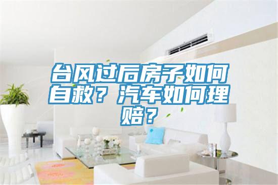 臺風過后房子如何自救？汽車如何理賠？