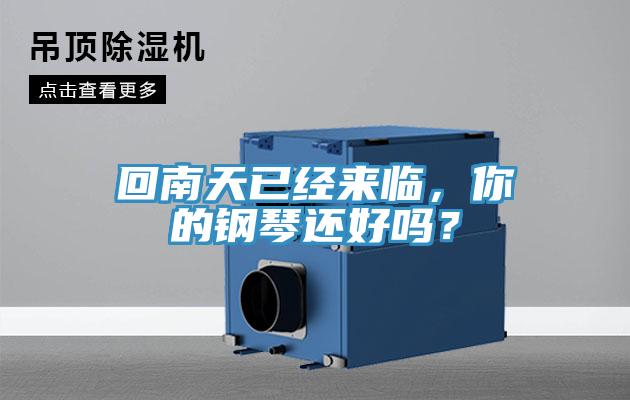 回南天已經(jīng)來臨，你的鋼琴還好嗎？