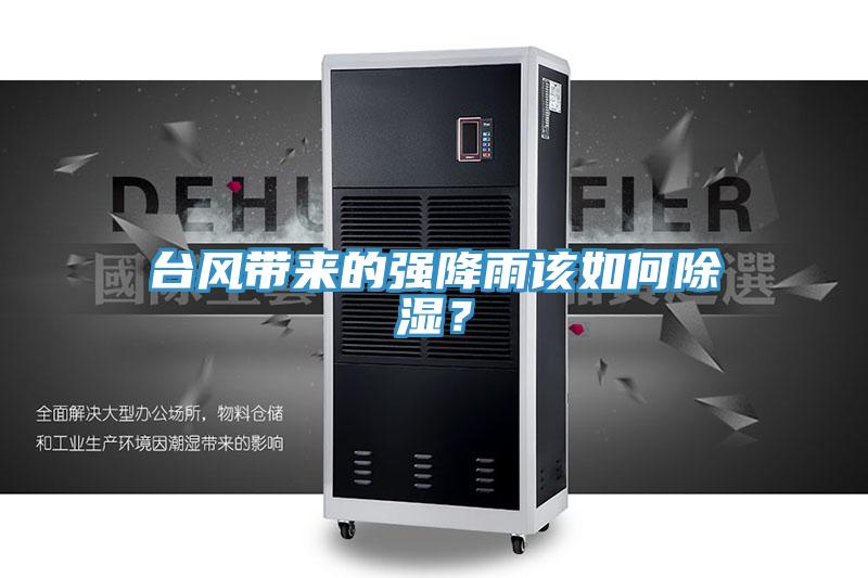 臺(tái)風(fēng)帶來(lái)的強(qiáng)降雨該如何除濕？