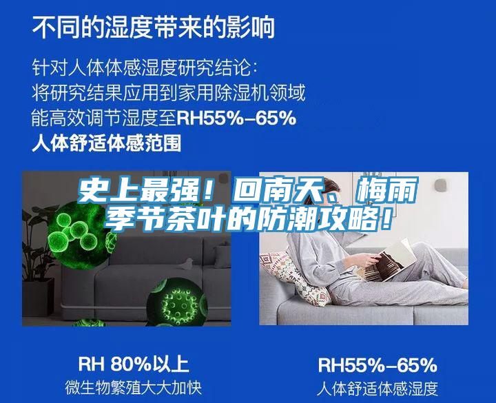 史上最強(qiáng)！回南天、梅雨季節(jié)茶葉的防潮攻略！