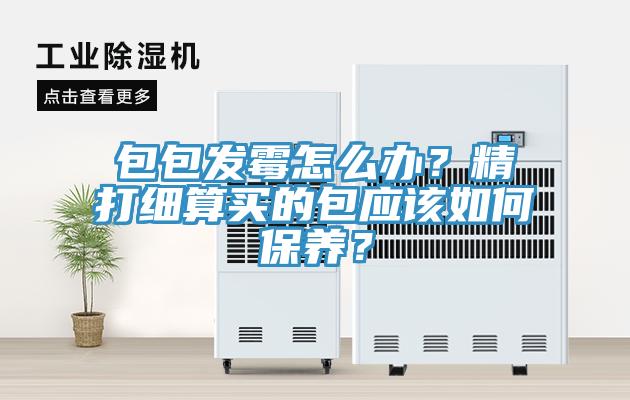 包包發(fā)霉怎么辦？精打細(xì)算買的包應(yīng)該如何保養(yǎng)？