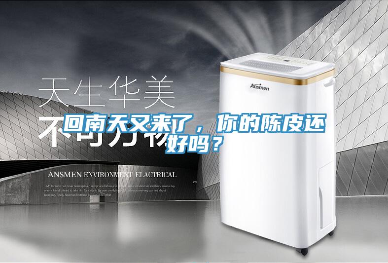 回南天又來了，你的陳皮還好嗎？