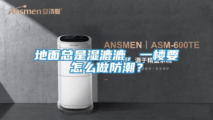 地面總是濕漉漉，一樓要怎么做防潮？