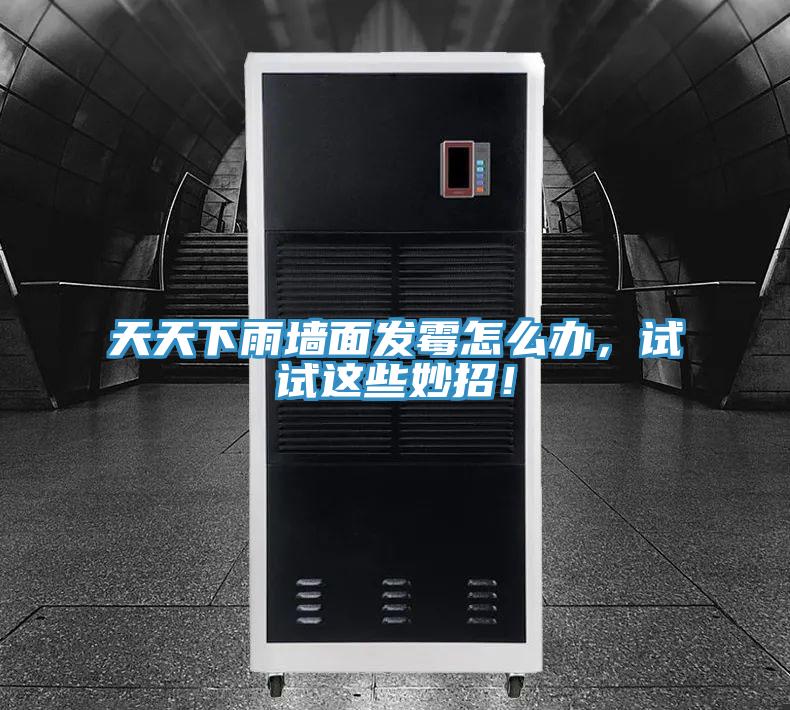 天天下雨墻面發(fā)霉怎么辦，試試這些妙招！