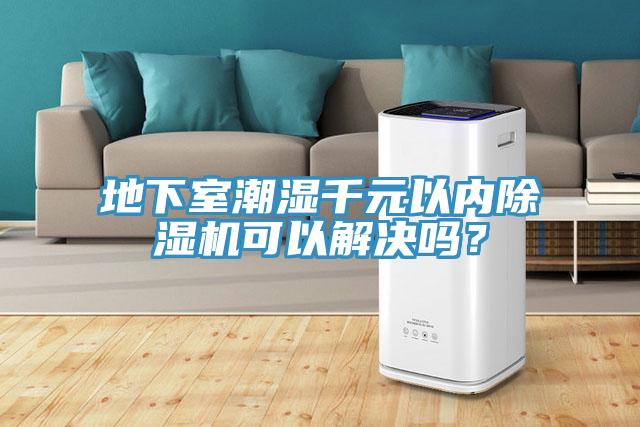 地下室潮濕千元以內(nèi)除濕機(jī)可以解決嗎？